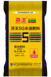 芬王品牌簡介